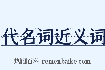 代名词近义词是什么意思的图片